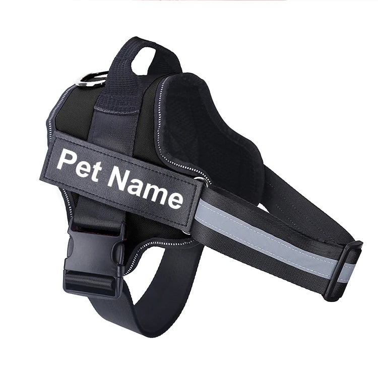 no-pull-harness-bold-colour