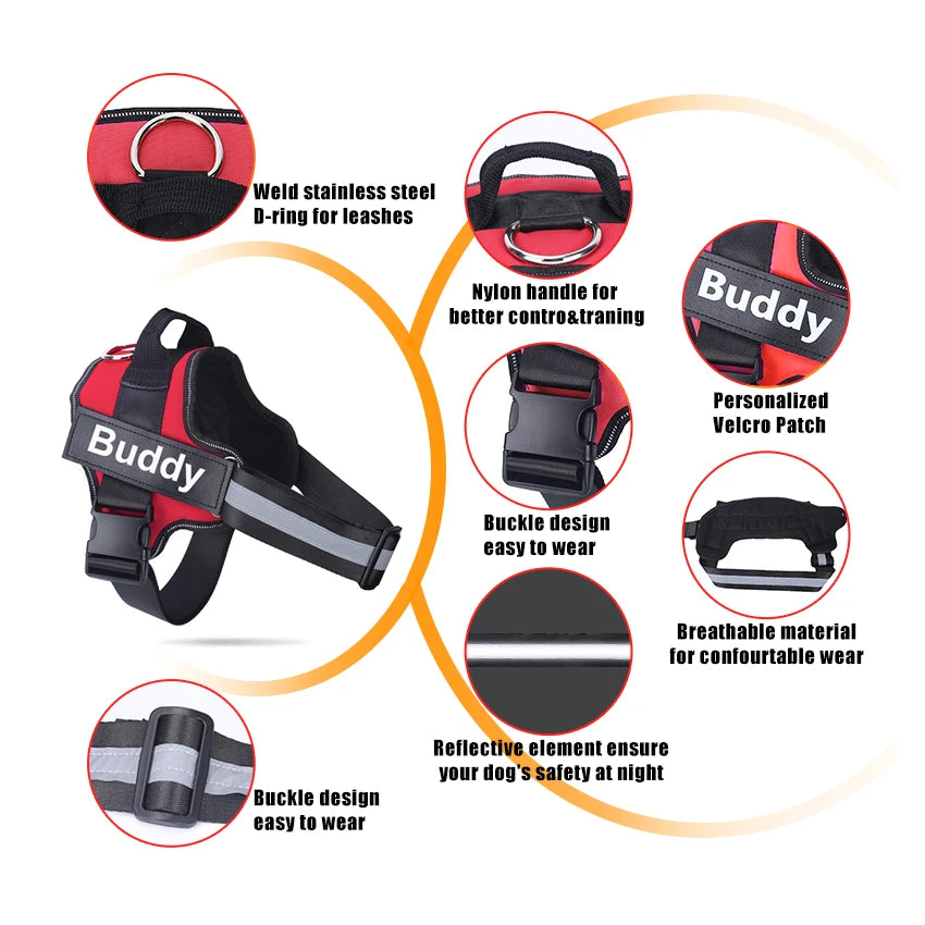 no-pull-harness-bold-colour