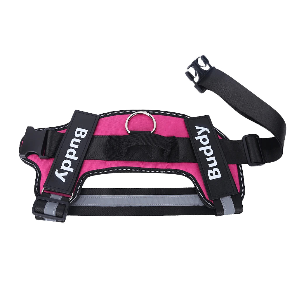 no-pull-harness-bold-colour