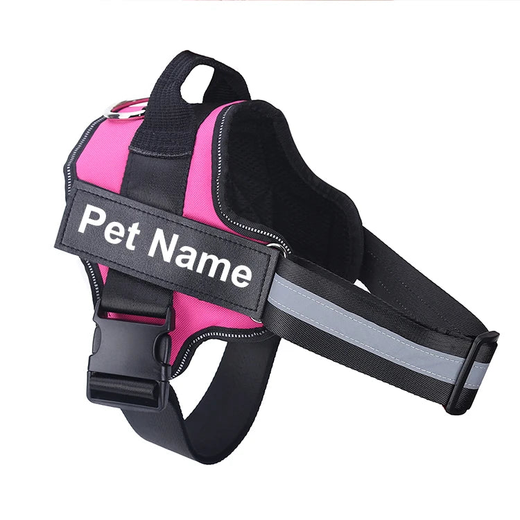 no-pull-harness-bold-colour