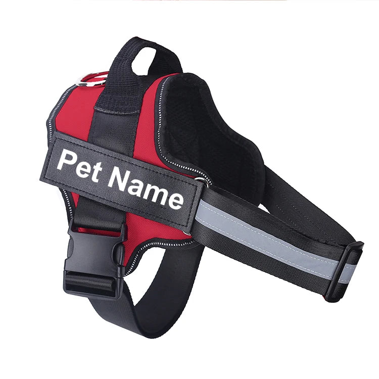 no-pull-harness-bold-colour