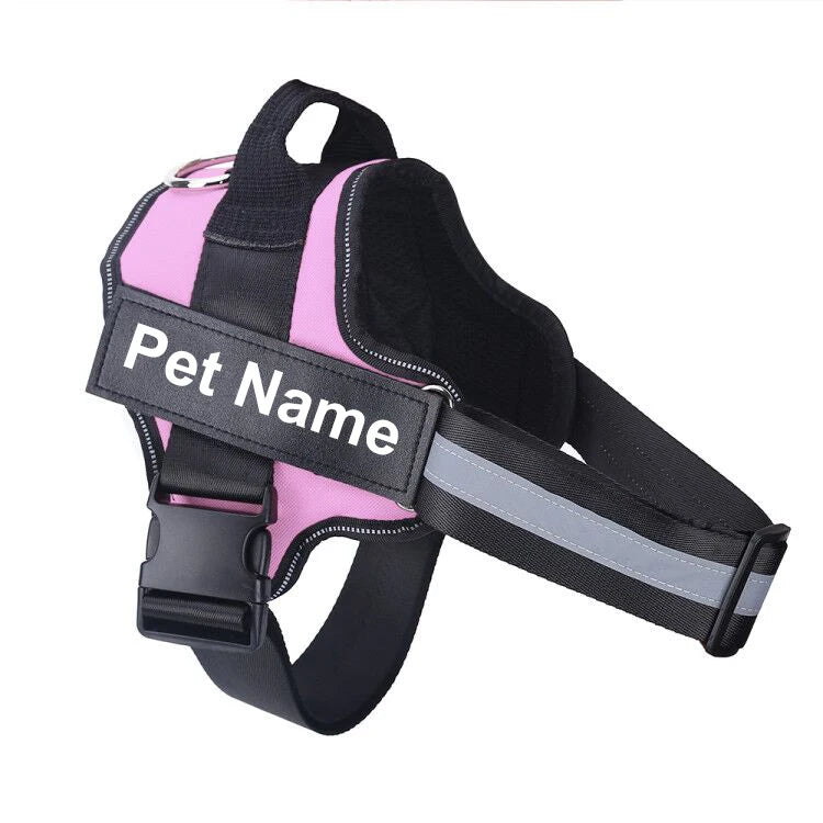 no-pull-harness-bold-colour