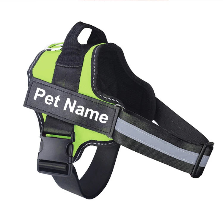no-pull-harness-bold-colour