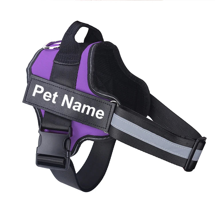 no-pull-harness-bold-colour