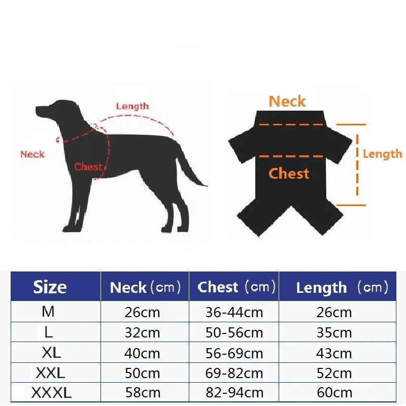 Clothing - Reversible Jacket - 2Tails