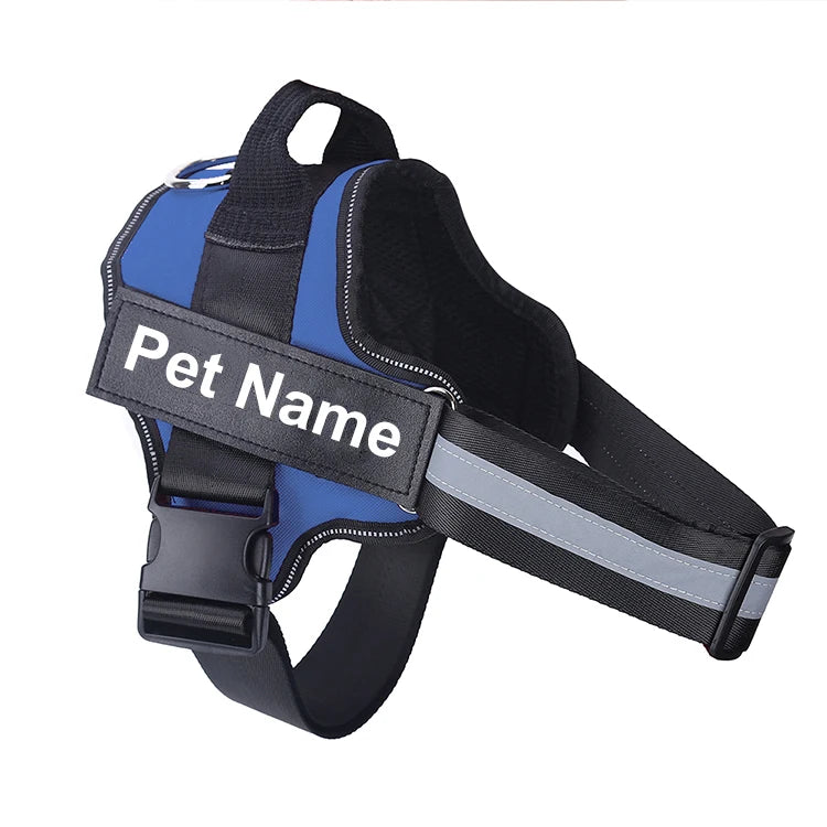 no-pull-harness-bold-colour