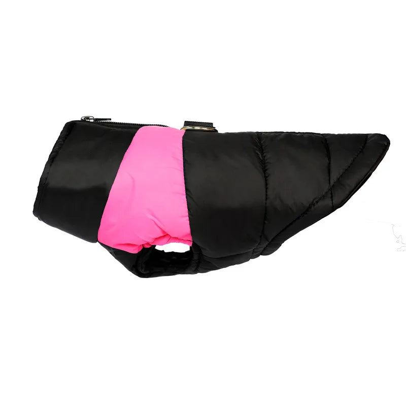 Clothing - Small - Medium Jacket - 2Tails