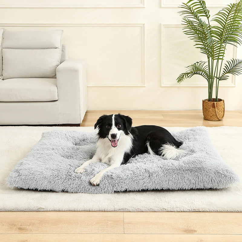 Dog Bed - Cushion - 2Tails