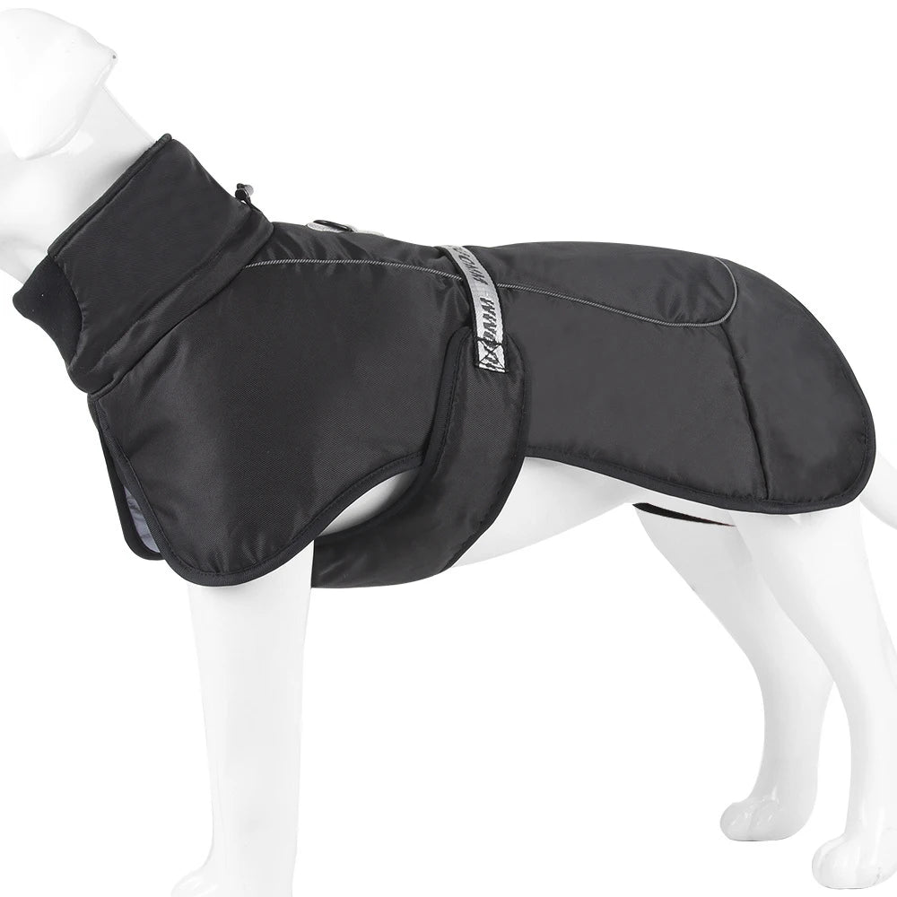 Clothing - Big Dog Jacket - 2Tails