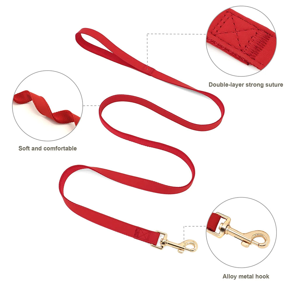 Personalised Dog - Collar, Harness & Lead Set