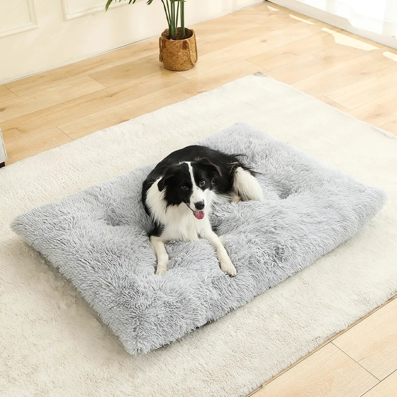 Dog Bed - Cushion - 2Tails