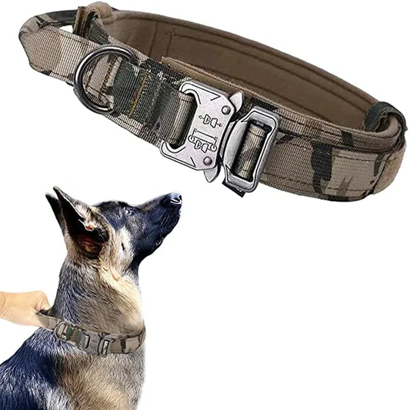 double-handle-heavy-duty-lead-and-collar