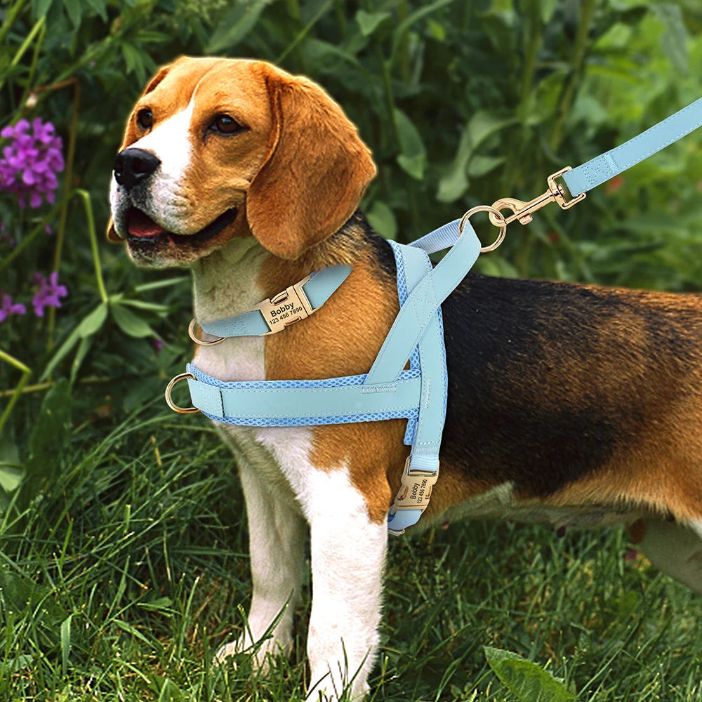Personalised Dog - Collar, Harness & Lead Set
