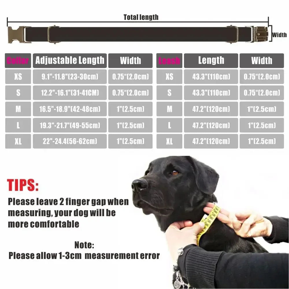 Dog Collar with Matching Lead - Personalised - 2Tails