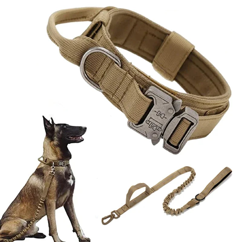 double-handle-heavy-duty-lead-and-collar