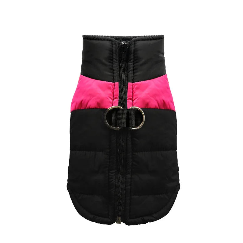 Clothing - Small - Medium Jacket - 2Tails