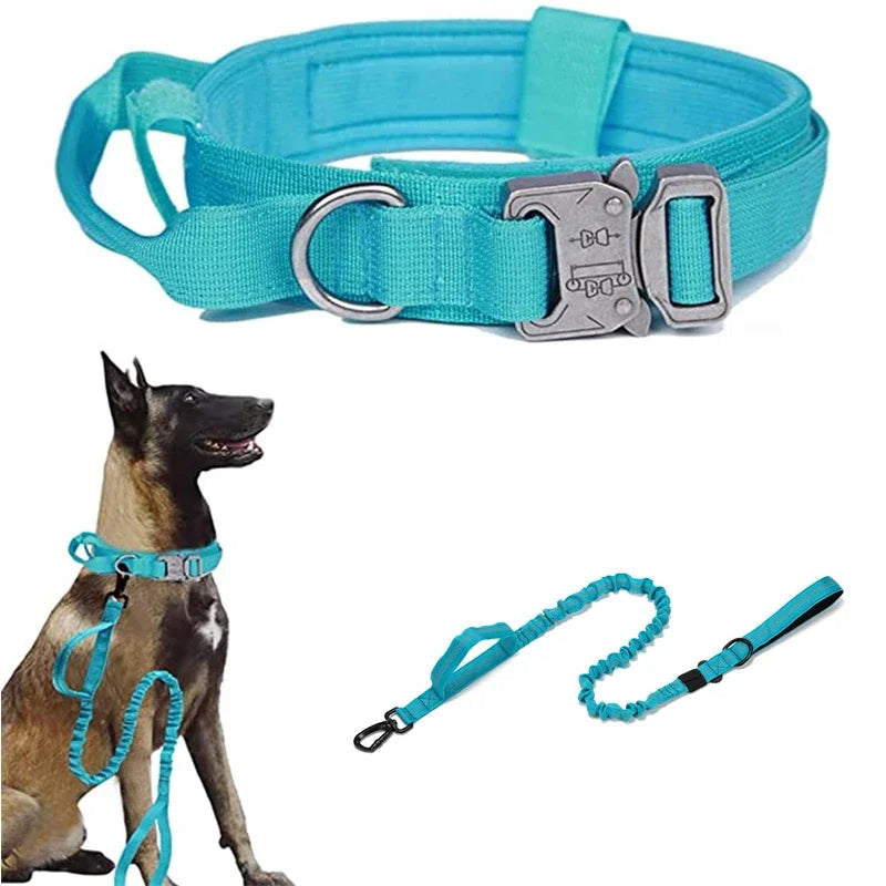 double-handle-heavy-duty-lead-and-collar