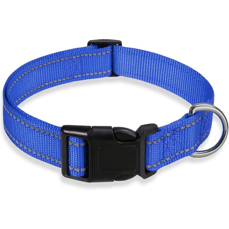 Classic-Dog-Collar
