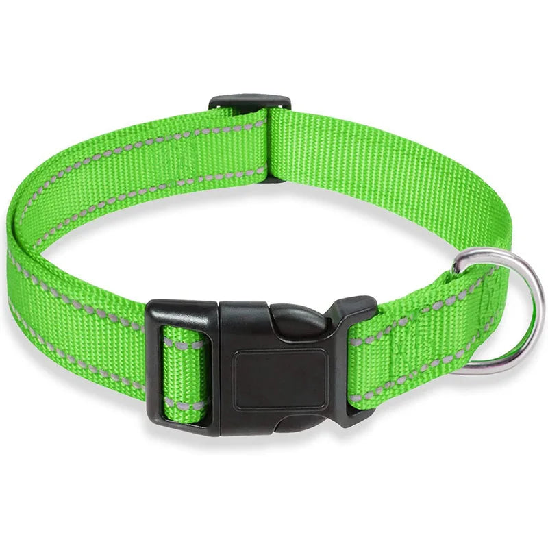 Classic-Dog-Collar