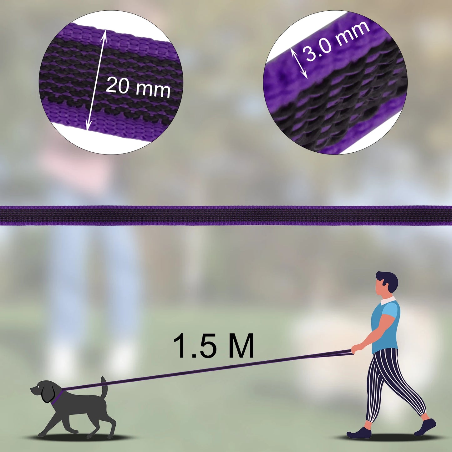 Training - Recall Lead - 2Tails