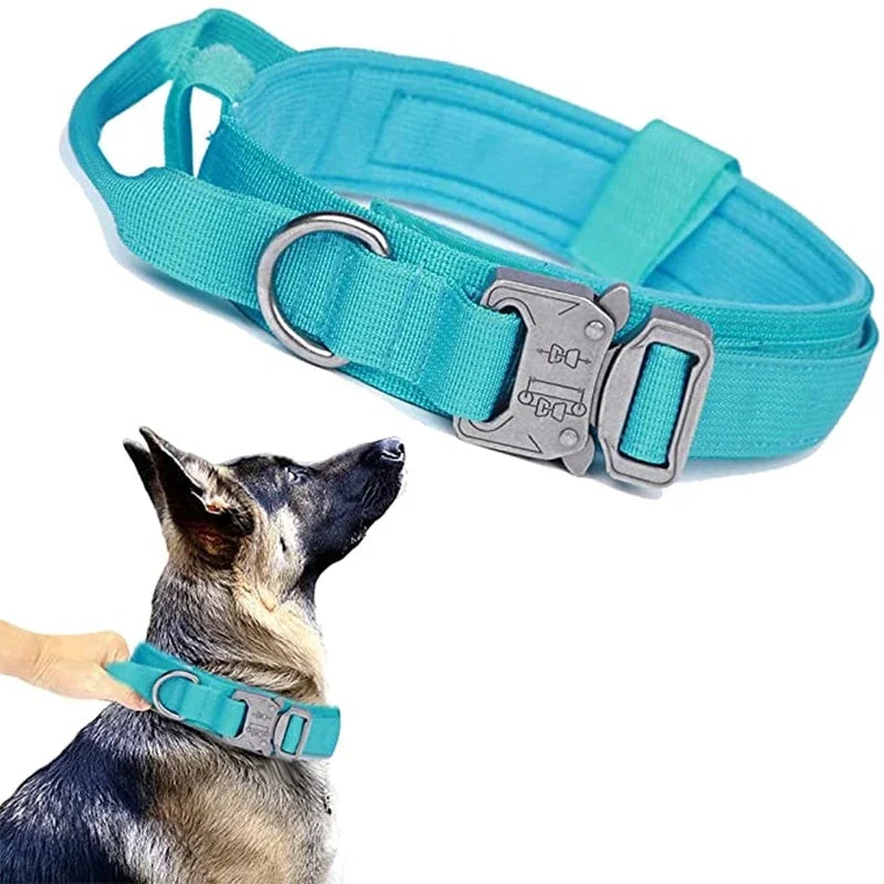 double-handle-heavy-duty-lead-and-collar