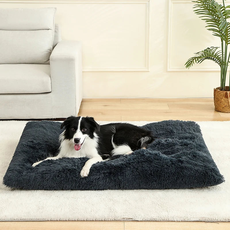 Dog Bed - Cushion - 2Tails