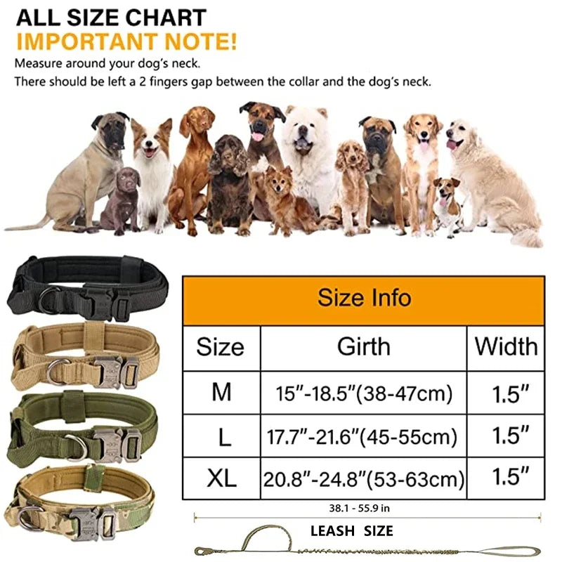 double-handle-heavy-duty-lead-and-collar