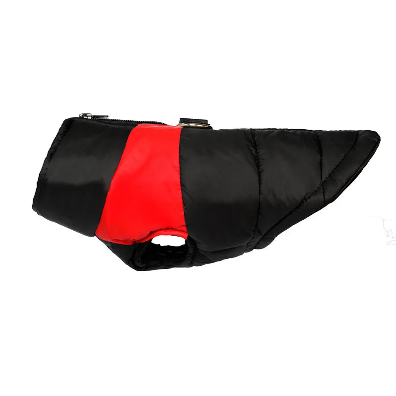 Clothing - Small - Medium Jacket - 2Tails
