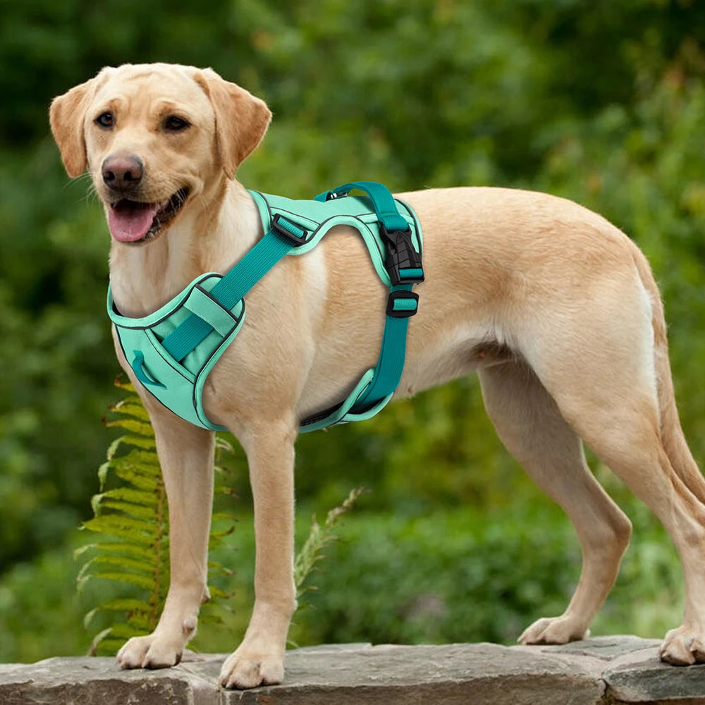 Harness - Training Vest - 2Tails