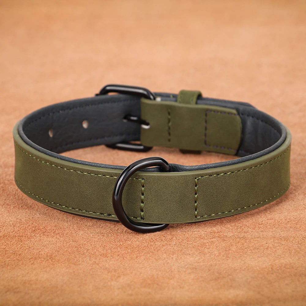 Dog Collar - Leather Soft Padded - 2Tails