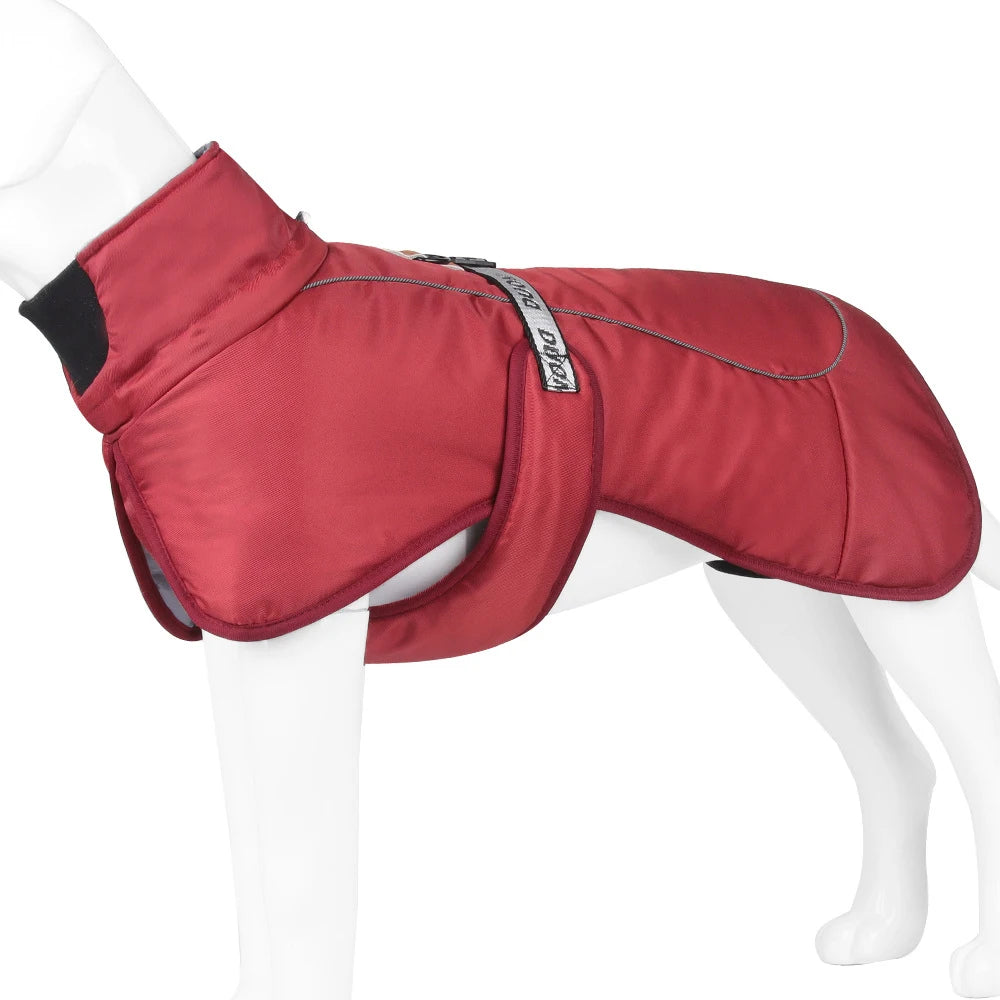 Clothing - Big Dog Jacket - 2Tails