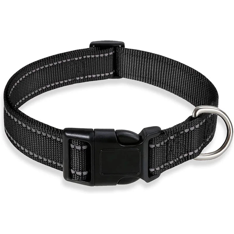 Classic-Dog-Collar