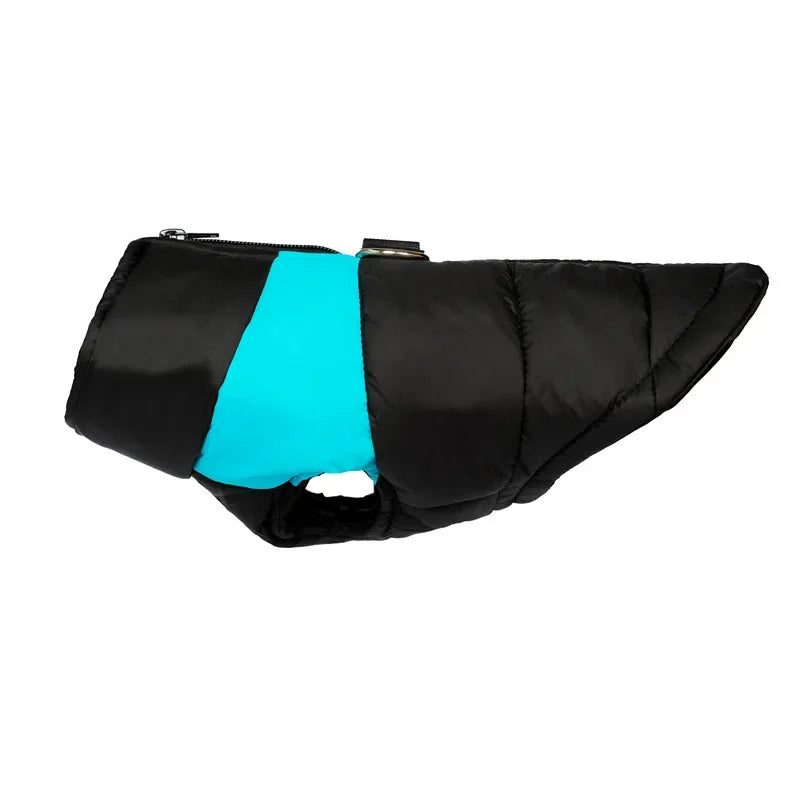 Clothing - Small - Medium Jacket - 2Tails