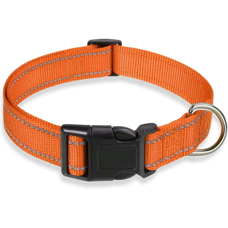 Classic-Dog-Collar