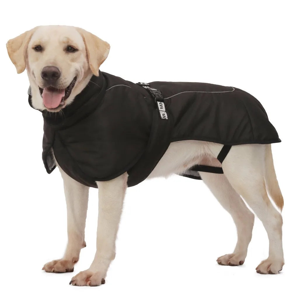 Clothing - Big Dog Jacket - 2Tails