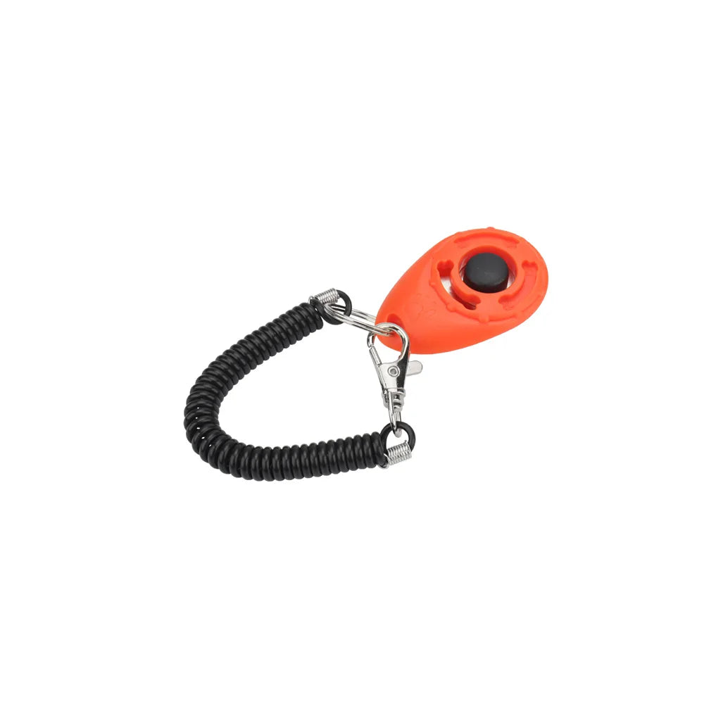 Training - Clicker - 2Tails