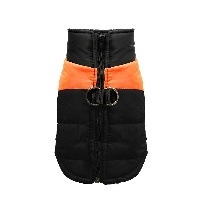 Clothing - Small - Medium Jacket - 2Tails