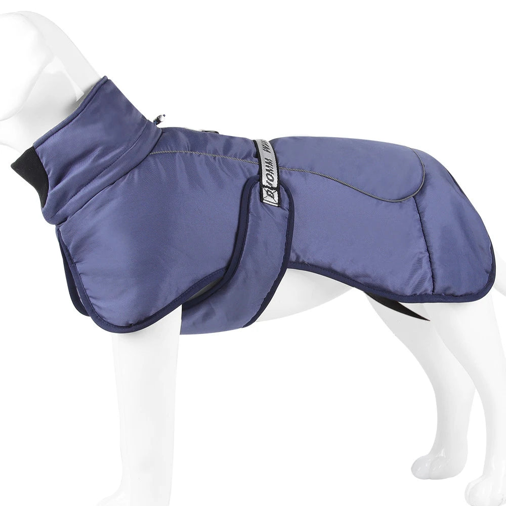 Clothing - Big Dog Jacket - 2Tails