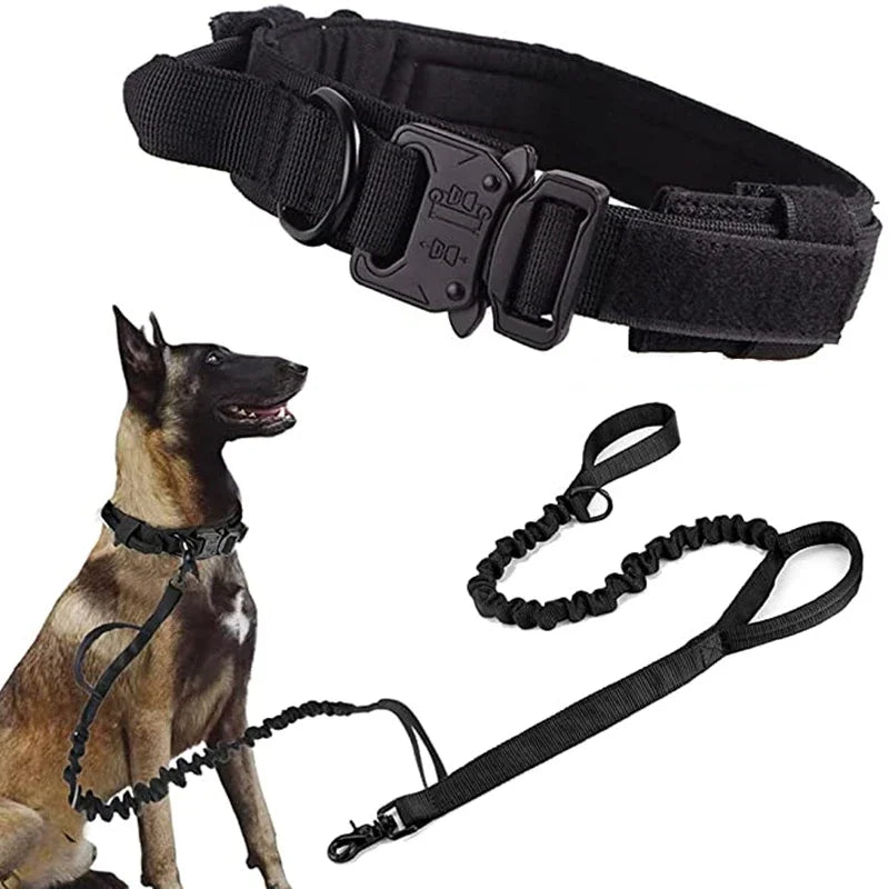 double-handle-heavy-duty-lead-and-collar