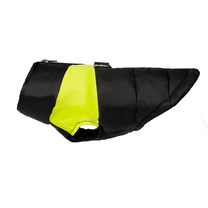 Clothing - Small - Medium Jacket - 2Tails