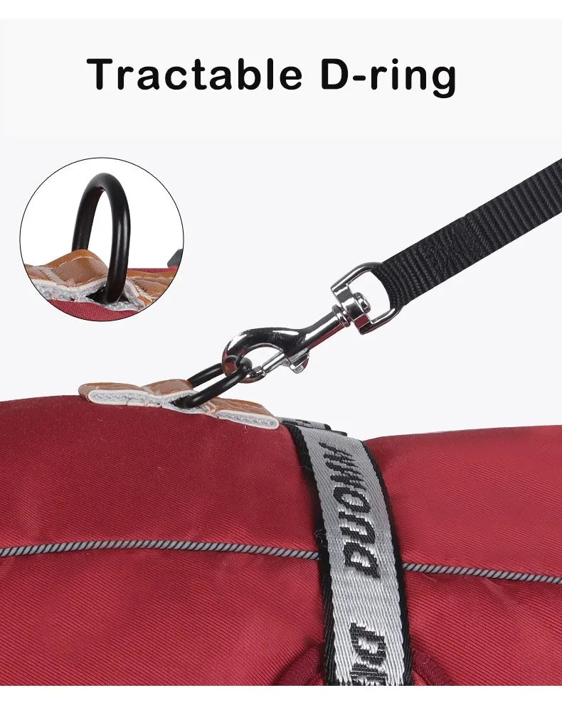 Clothing - Big Dog Jacket - 2Tails