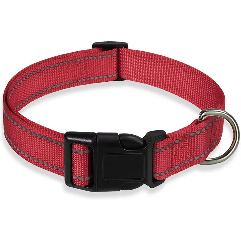 Classic-Dog-Collar