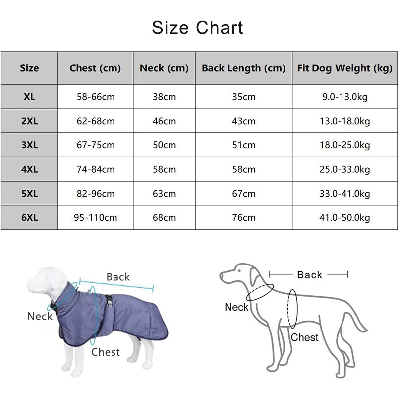 Clothing - Big Dog Jacket - 2Tails