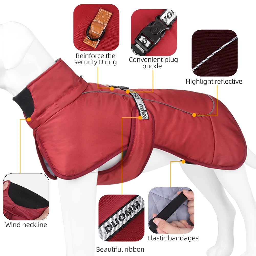 Clothing - Big Dog Jacket - 2Tails
