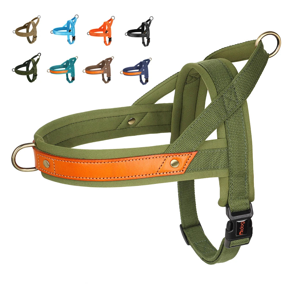 Harness - Soft Padded - 2Tails
