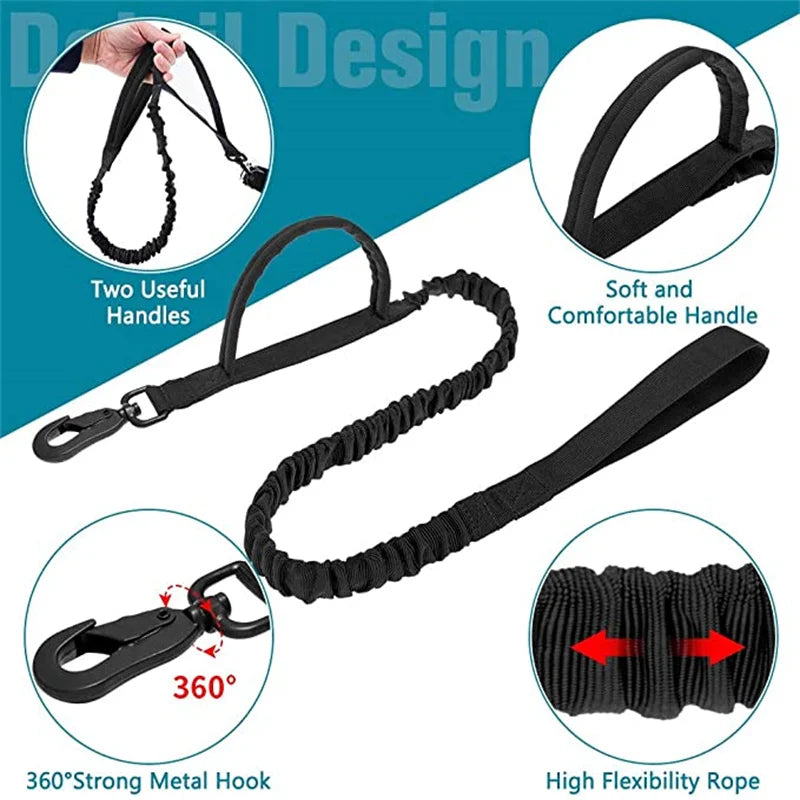 double-handle-heavy-duty-lead-and-collar