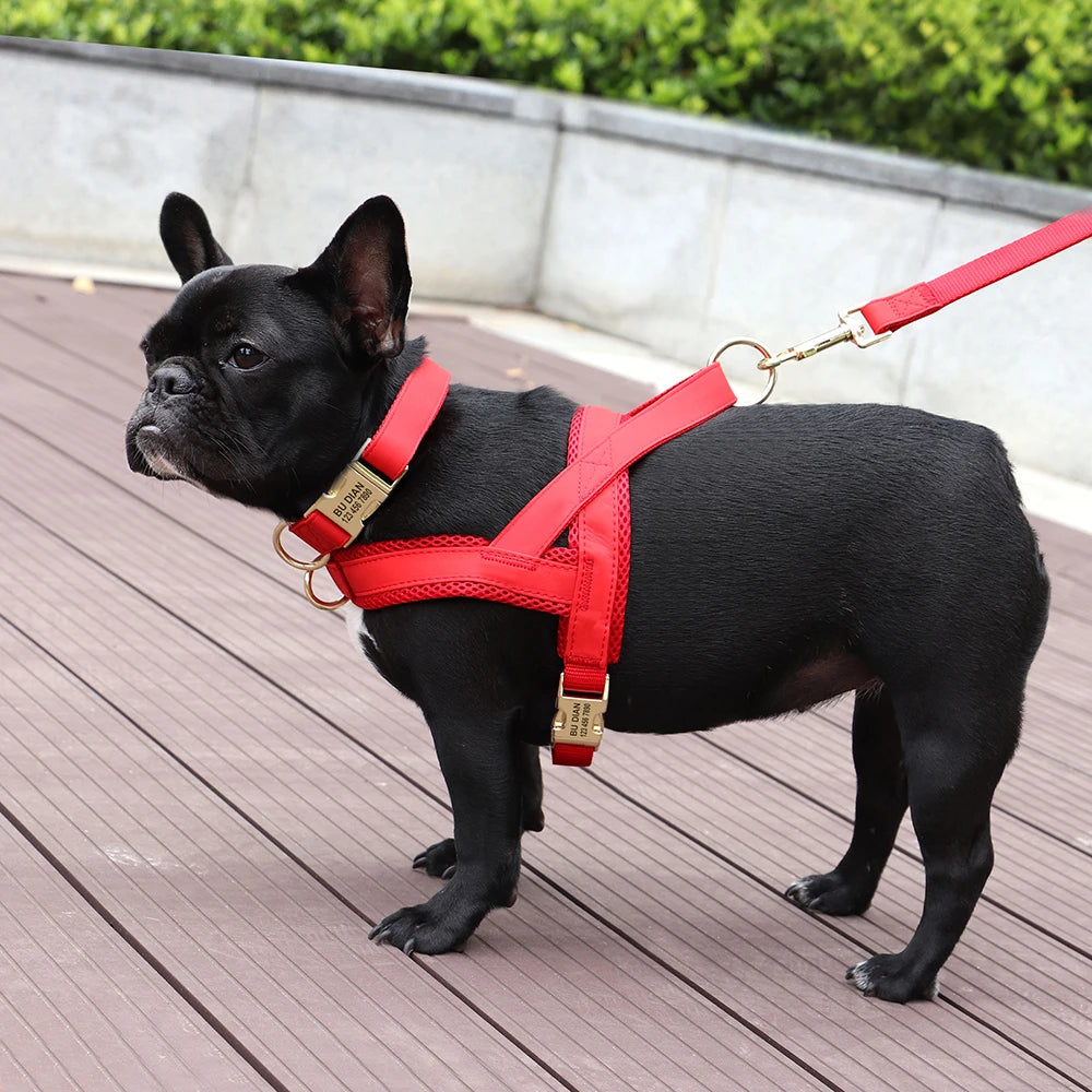 Personalised Dog - Collar, Harness & Lead Set