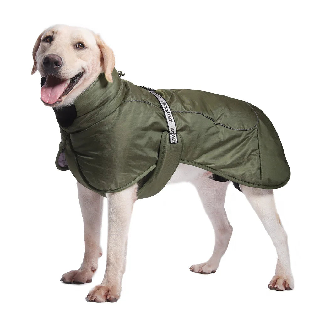 Clothing - Big Dog Jacket - 2Tails