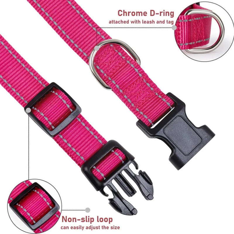 Classic-Dog-Collar