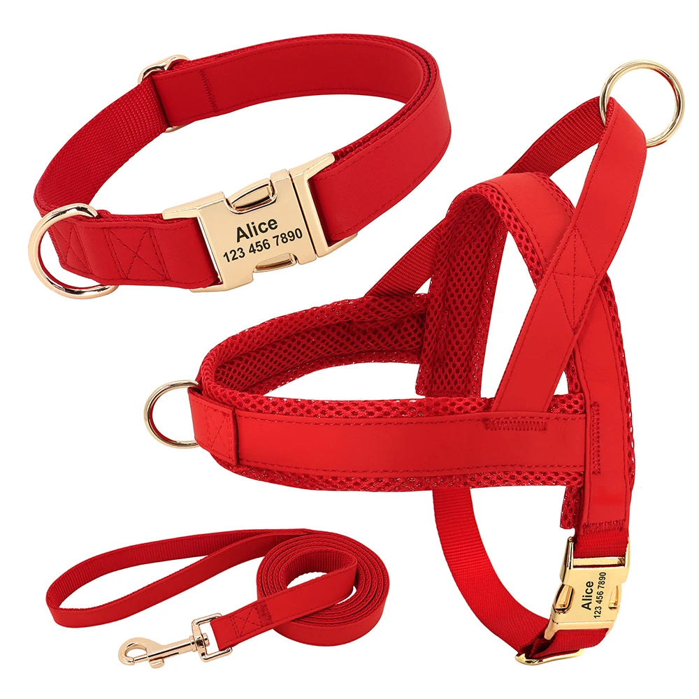 Personalised Dog - Collar, Harness & Lead Set